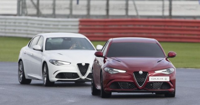 alfa-blind-4