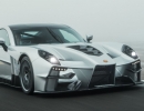 GINETTA NEW (1)