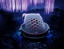 19C1037_005
